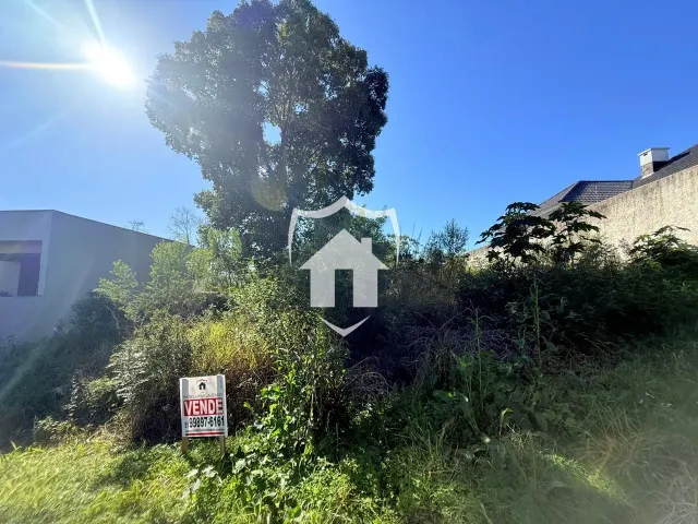 Terreno, foto 3