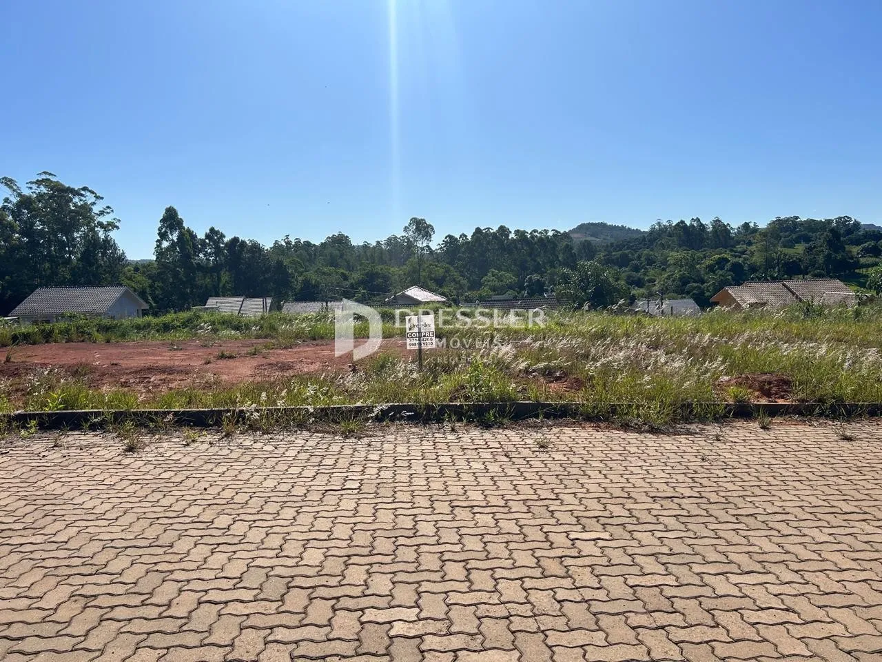 Vista da propriedade com vegetação e árvores ao fundo.