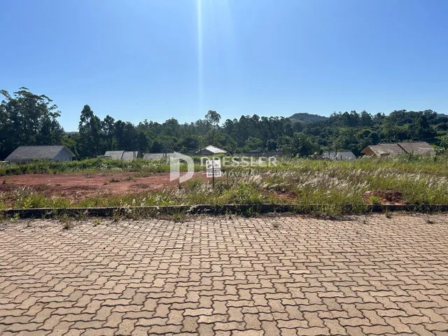 Vista da propriedade com vegetação e árvores ao fundo.