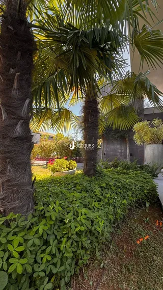 Casa com 3 dormitórios, foto 41
