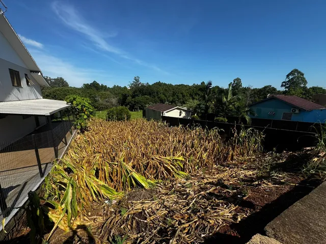 Terreno