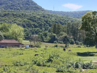 Área rural, foto 5