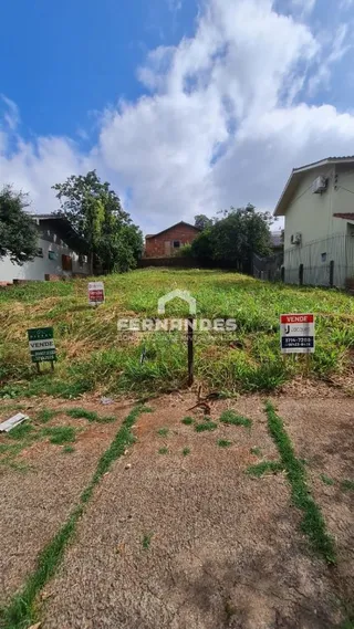 Terreno, foto 3