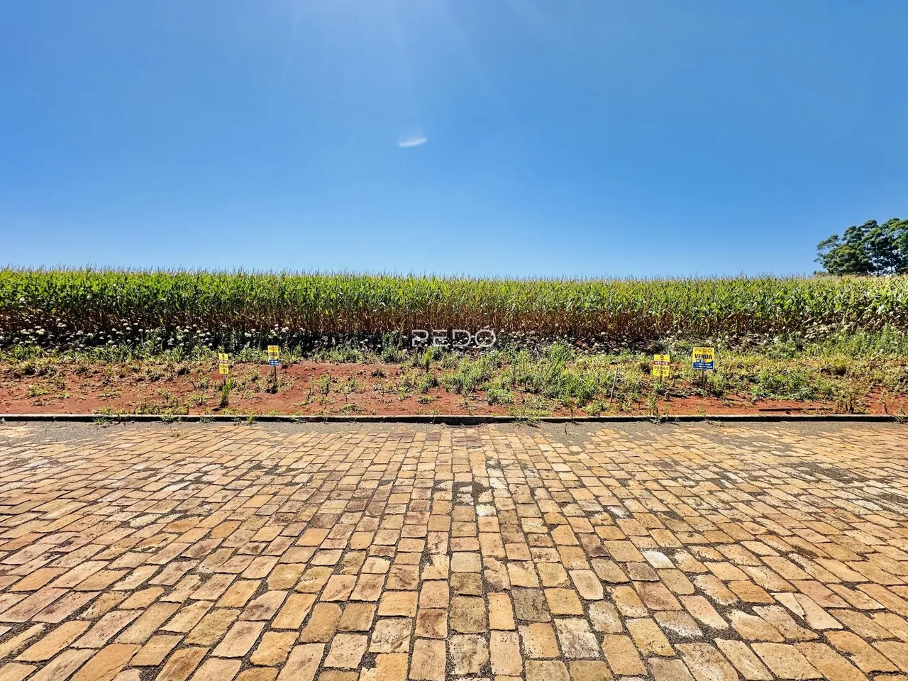 Vista de um campo verde com terra batida no primeiro plano.