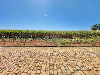 Vista de um campo verde com terra batida no primeiro plano.