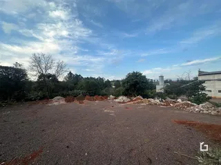 Terreno aberto com vegetação densa ao fundo.
