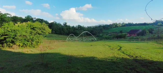 Vista panorâmica de um campo verde com vegetação ao fundo.