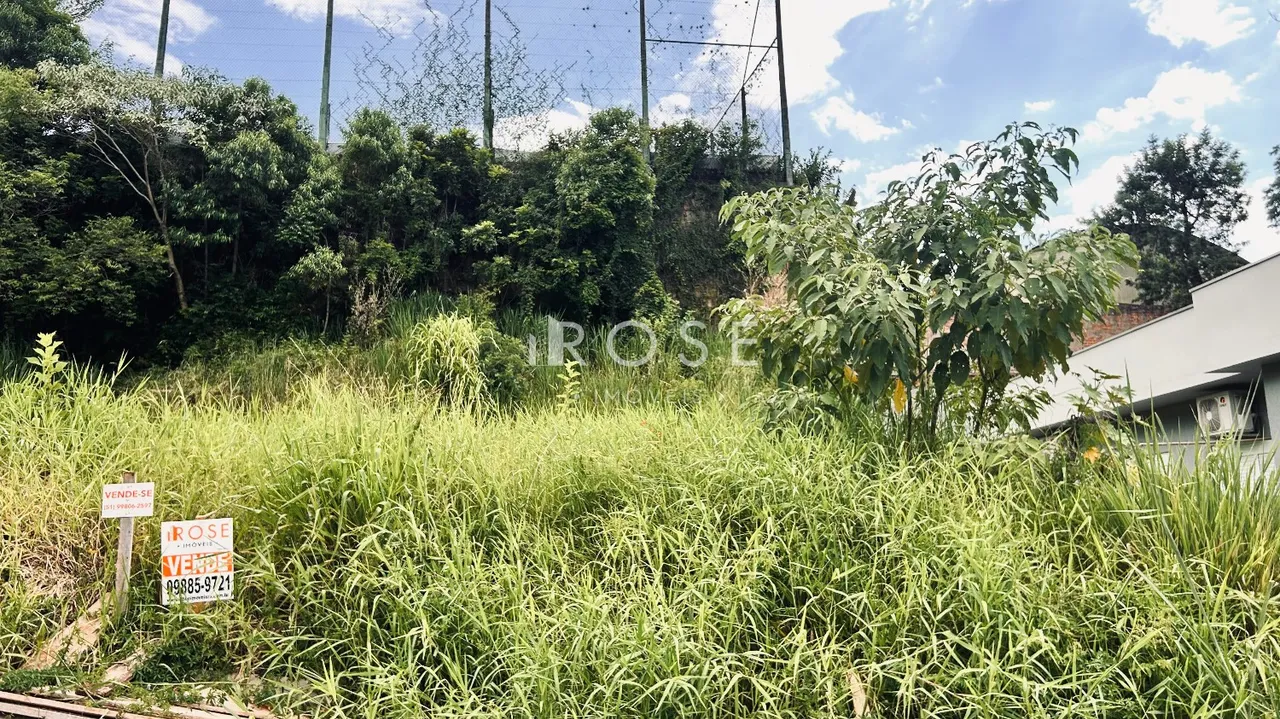 Terreno, foto 1