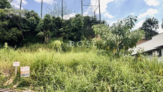 Paisagem exterior com vegetação alta e sinal de venda em Lajeado.