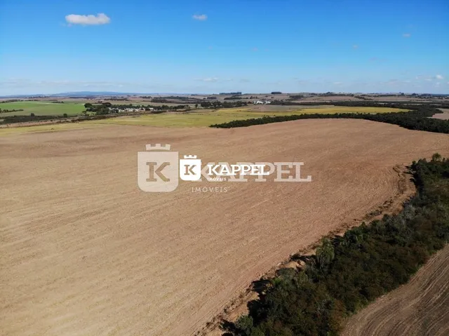 Vista aérea de uma área de campo seco em Lajeado, Brasil.