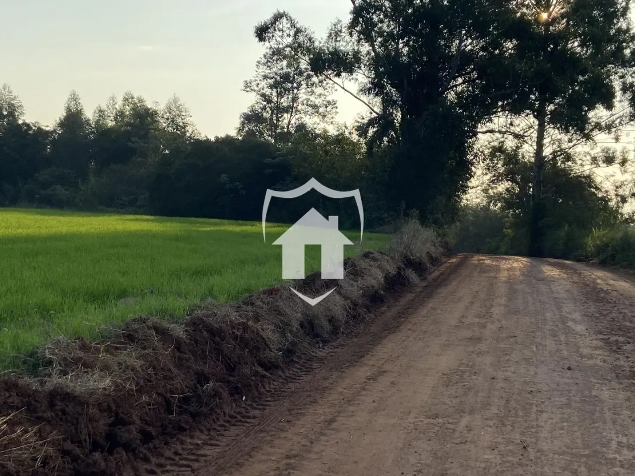 Área rural, foto 1
