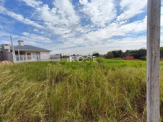 Terreno, foto 5