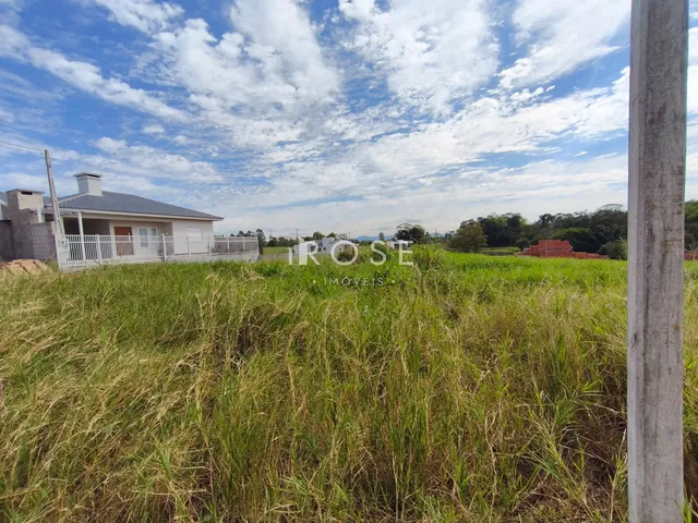 Terreno, foto 5