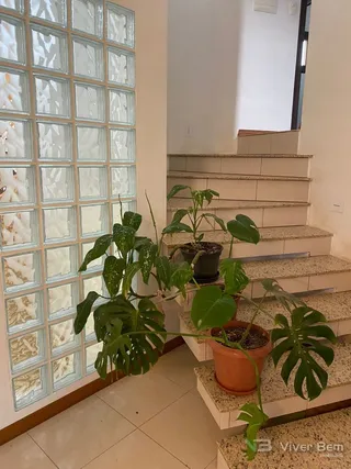 Casa com 3 dormitórios, foto 11