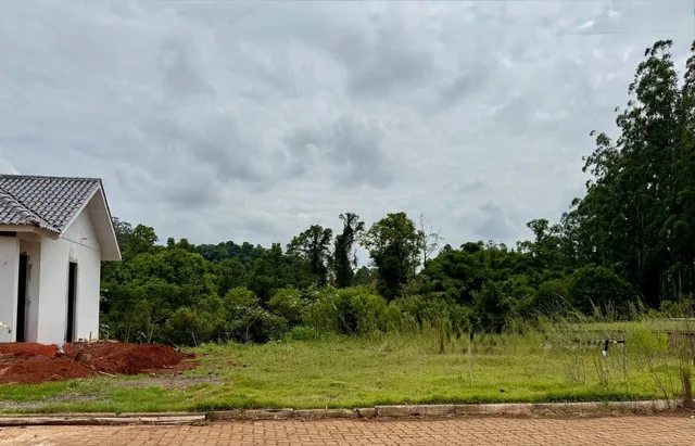 Terreno, foto 3