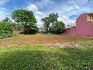 Terreno, foto 1