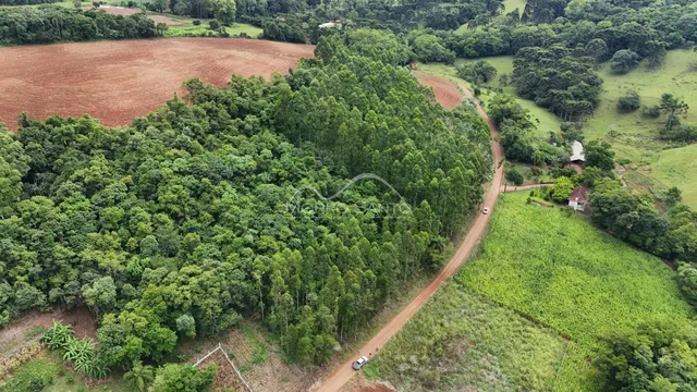 Vista aérea de uma propriedade rural mostrando floresta densa e campos cultivados em Lajeado.