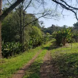 Área rural, foto 6