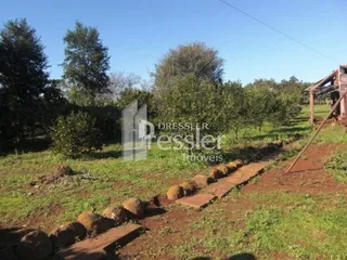Terreno, foto 3