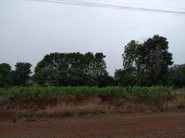Terreno, foto 3