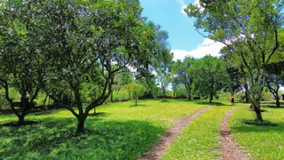 Vista de um campo gramado com árvores e um caminho de terra.