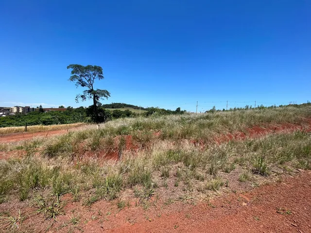 Terreno, foto 3