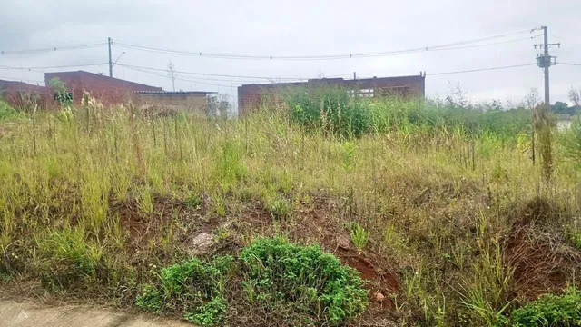 Terreno, foto 2