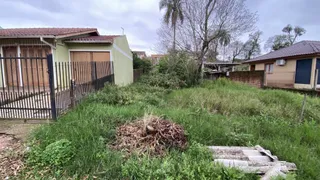 Terreno, foto 1
