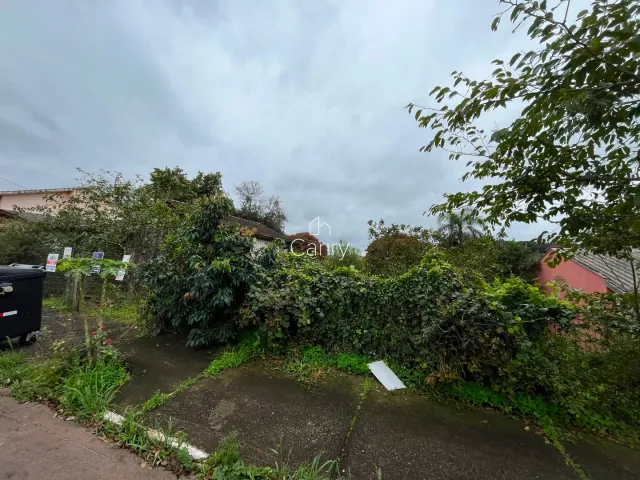 Terreno, foto 5