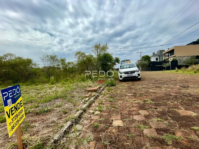 Vista externa de um terreno com vegetação e uma estrada no fundo.