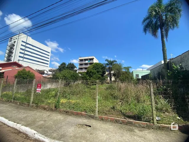 Terreno, foto 2