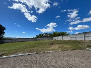 Terreno, foto 3