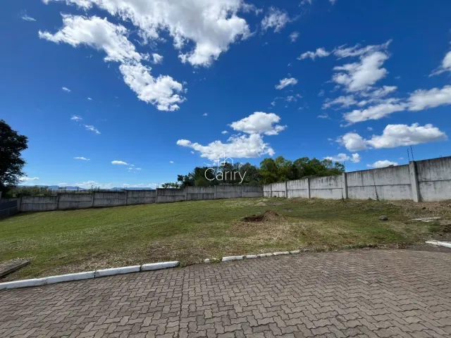 Terreno, foto 3