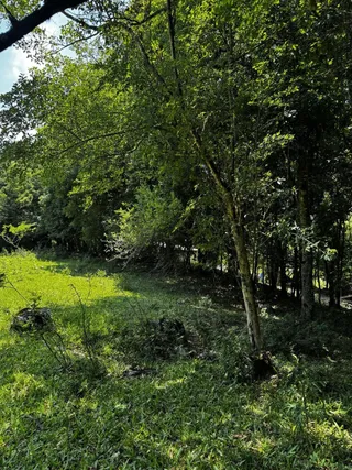 Área rural, foto 6