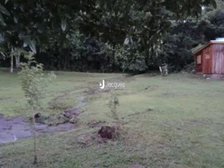 Paisagem de gramado molhado com vegetação ao fundo.