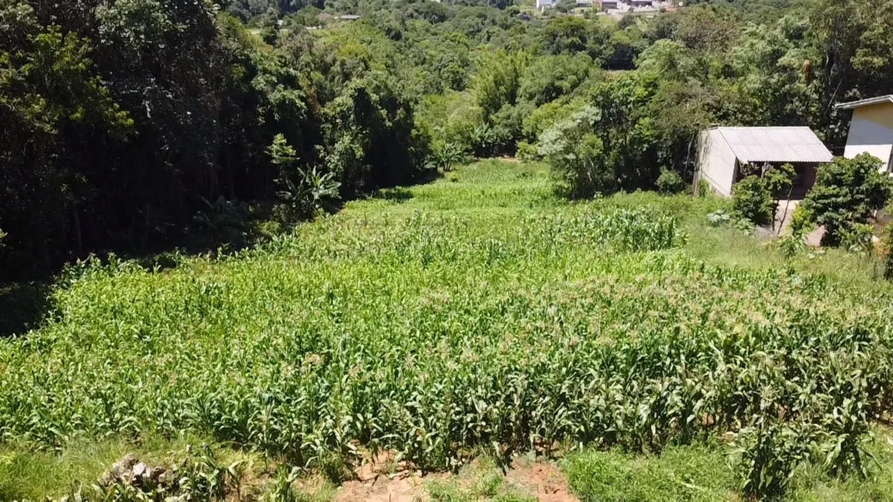Área rural, foto 1