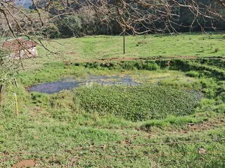 Área rural, foto 12