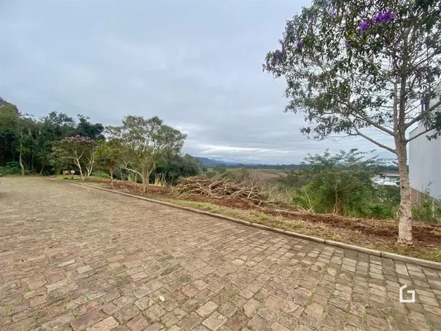Terreno, foto 3