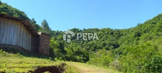 Terreno, foto 5