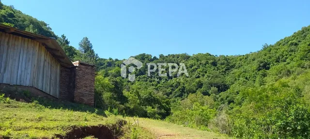 Terreno, foto 5