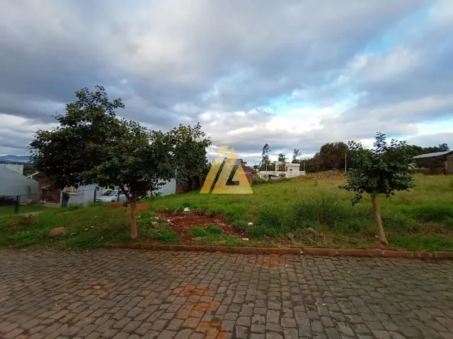 Terreno, foto 5