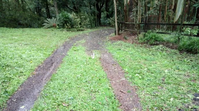Caminho de terra atravessando um gramado verde em uma propriedade.