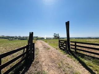 Área rural com 4 dormitórios, foto 30