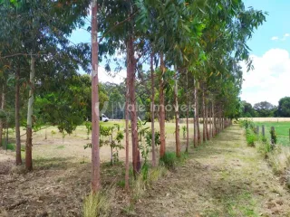 Área rural, foto 9