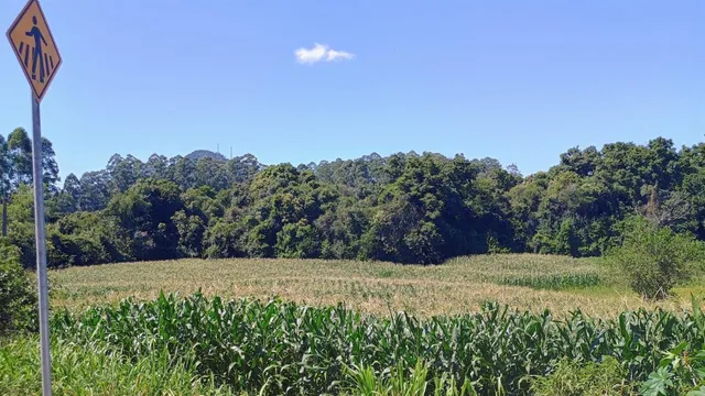 Terreno, foto 2