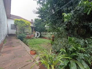 Vista externa de um caminho de tijolos ao lado de uma parede com vegetação densa.