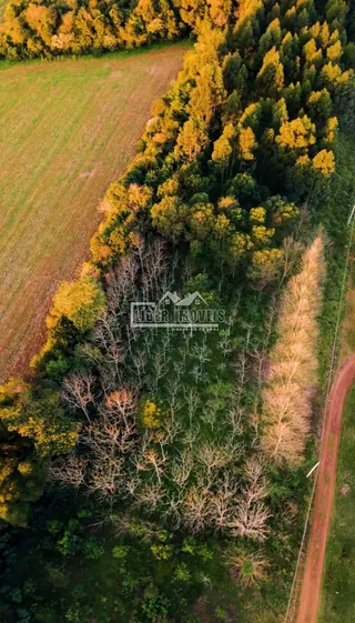 Área rural com 3 dormitórios, foto 14