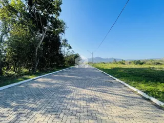 Vista de uma estrada pavimentada que se estende por uma área verde.