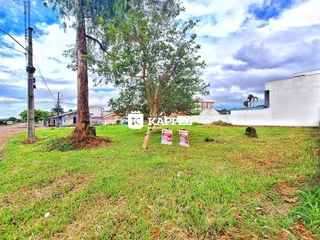 Vista externa de um terreno com grama e árvores.