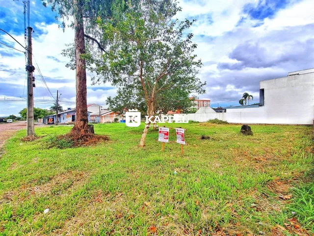 Vista externa de um terreno com grama e árvores.